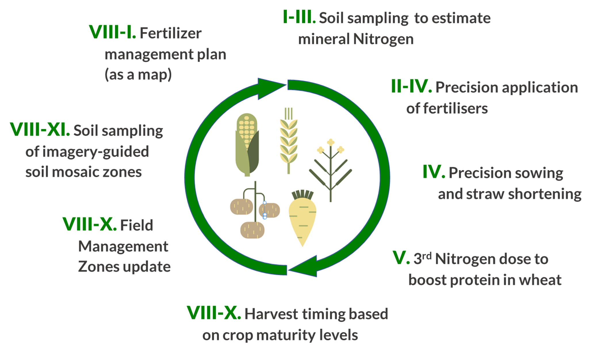 Satellite monitoring-influenced interventions across a 12-month crop production cycle.