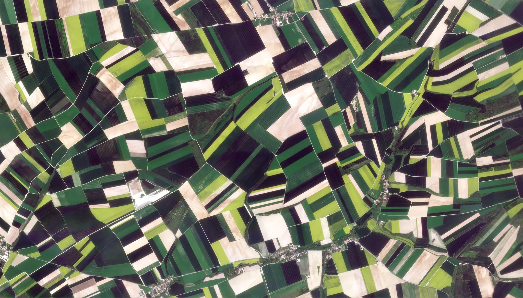 PlanetScope image of blooming Canola fields in Champagne, France taken May 4, 2023. © 2023, Planet Labs PBC. All Rights Reserved.