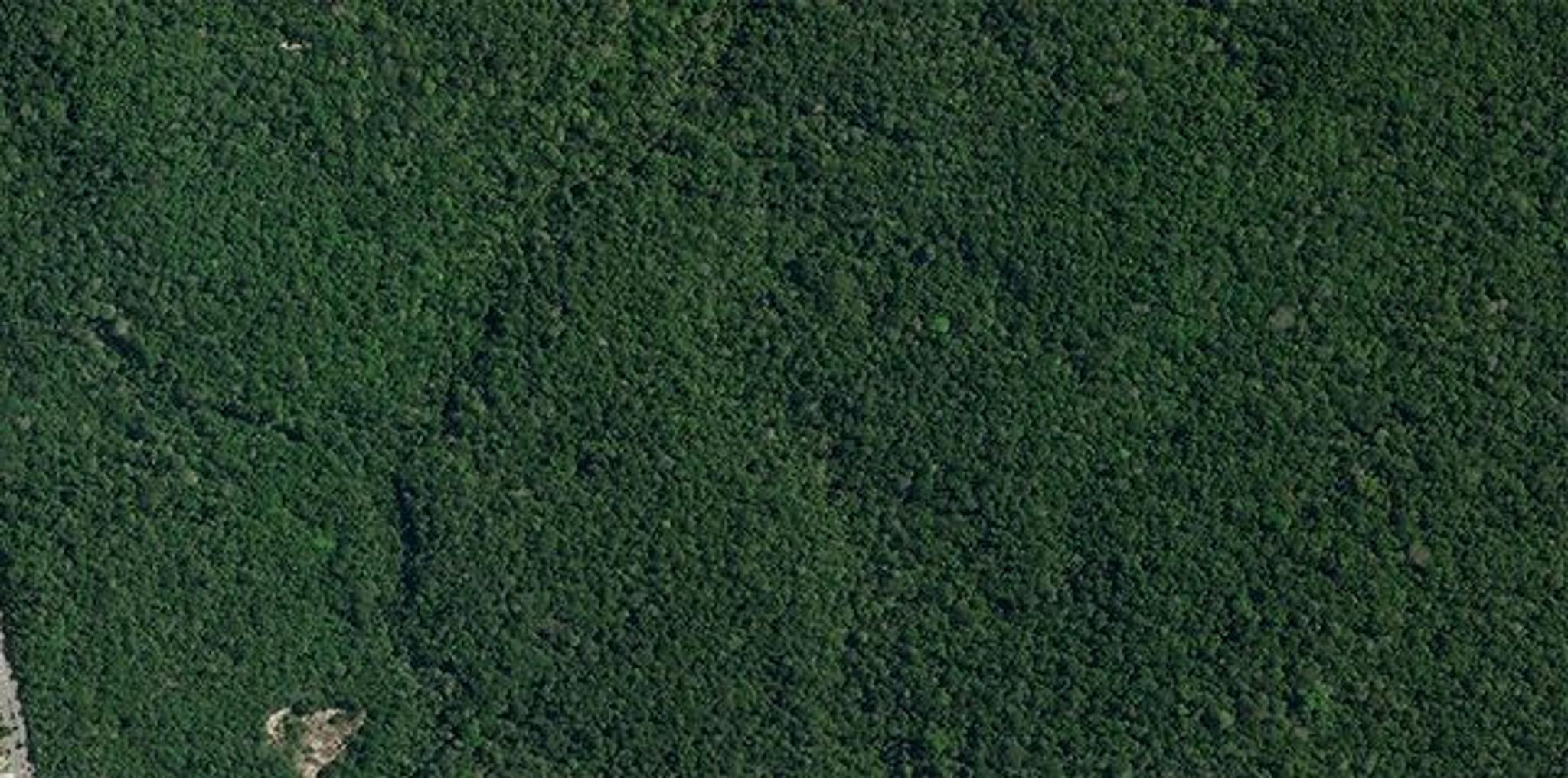 SkySat image of the Adolfo Ducke Forest Reserve next to Manaus, Brazil captured June 26, 2022. © 2023 Planet Labs PBC. All Rights Reserved. 