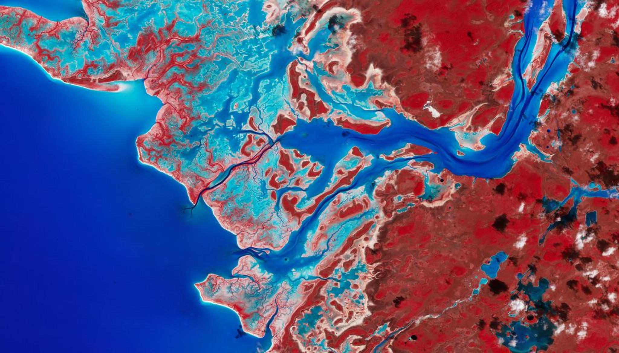 PlanetScope image & NIR false color composite of coastal vegetation in Tarpon Town, Andros Island, The Bahamas taken February 10, 2023. The red coloring in the NIR false color composite indicates vegetation.  