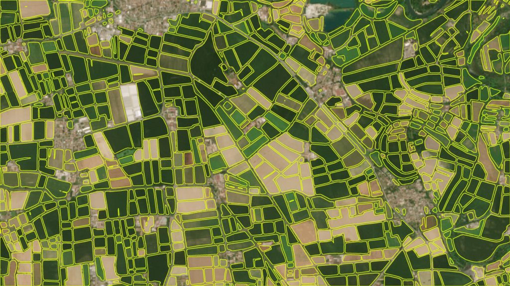 Sentinel 2 • Field boundaries product, Codogno, Italy • June 25, 2023