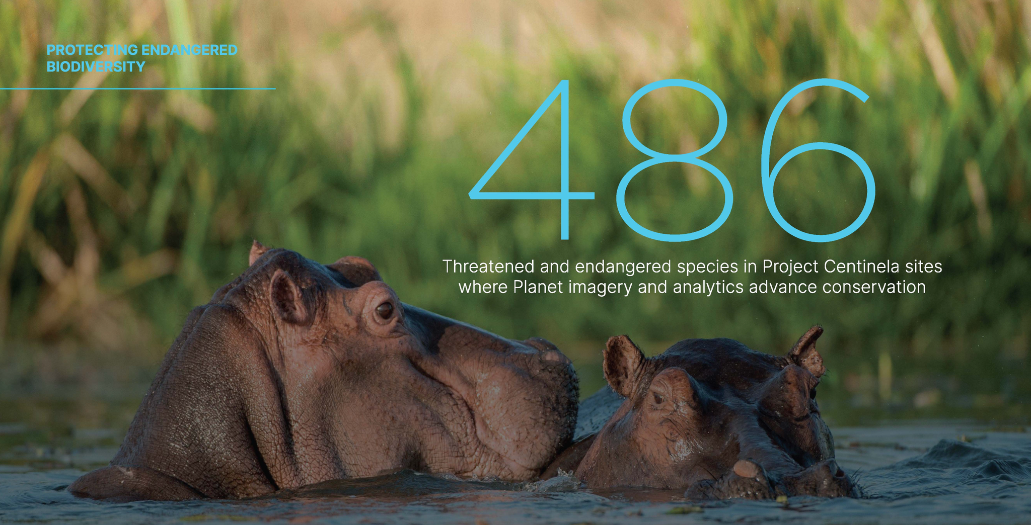 In FY25, Planet data, products and services were used to monitor biodiverse hotspots around the world.