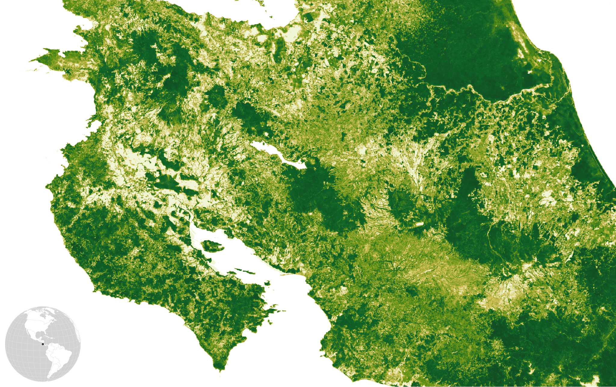 Canopy cover in the Nicoya Peninsula and on the border between Costa Rica and Nicaragua shows the extent of dramatic gains in tree cover, following a peak of deforestation in the 1970’s and 1980’s.