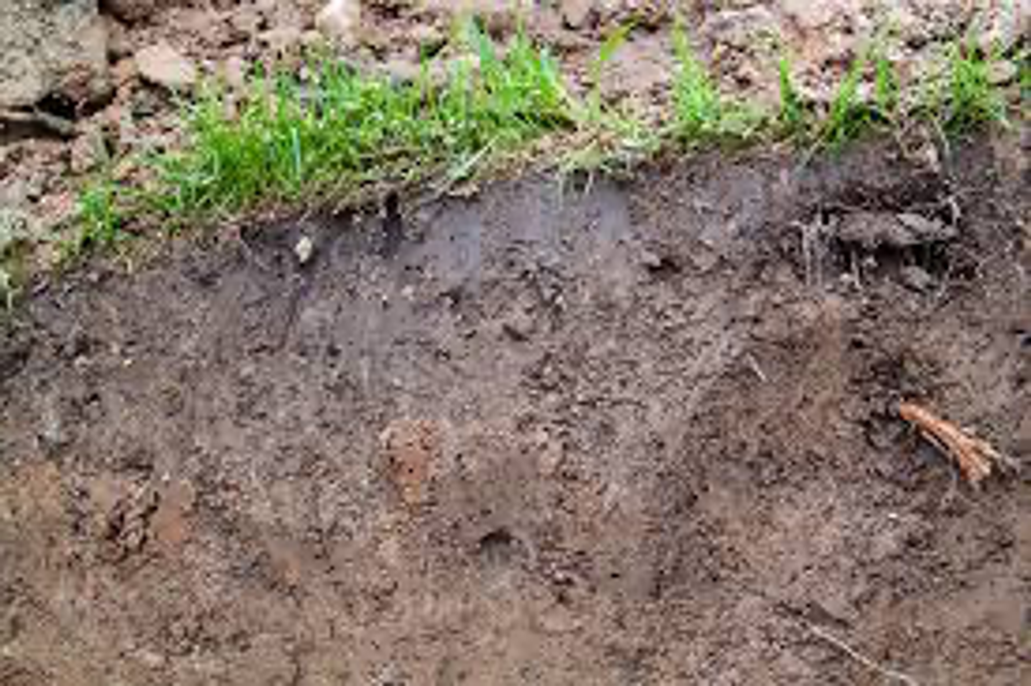 Figure 1: A cross-section of the soil illustrating the variation in SWC within the top few centimeters. The upper layers of the soil are significantly wetter than those deeper down. Conversely, following an extended dry period, the situation may reverse, with the deeper soil becoming drier than the near-surface layer due to evaporation affecting the topsoil first.