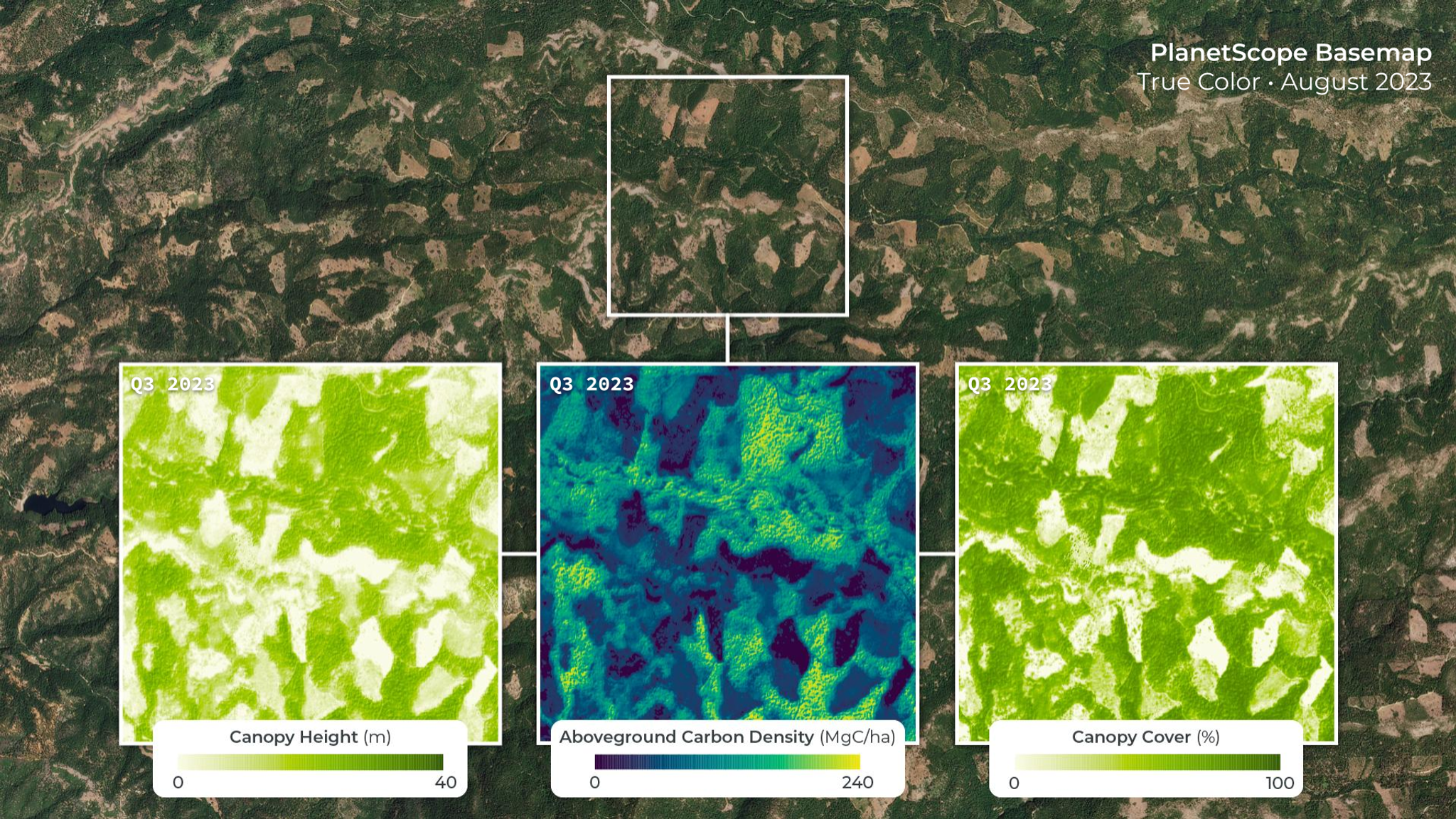 Planet Forest Carbon Monitoring is composed of a bundle of data resources: Canopy Height, Canopy Cover, and Aboveground Live Carbon at 3 meter spatial resolution. The three data layers are shown here over a forested region of California in the United States and help reveal patterns in forests that are not visible in true color imagery alone.