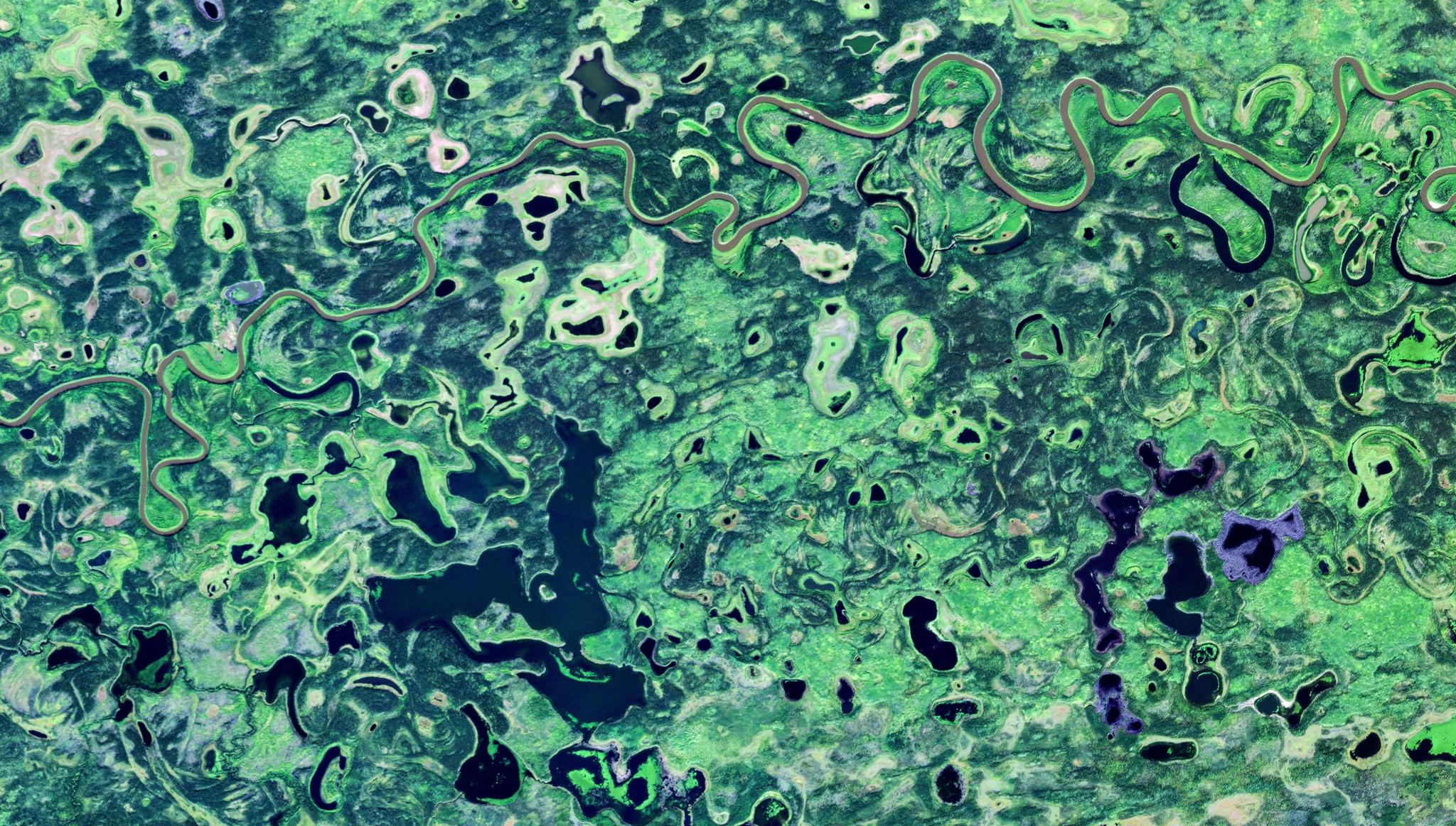 PlanetScope image of the Yukon Flats in Alaska, captured August 26, 2024.