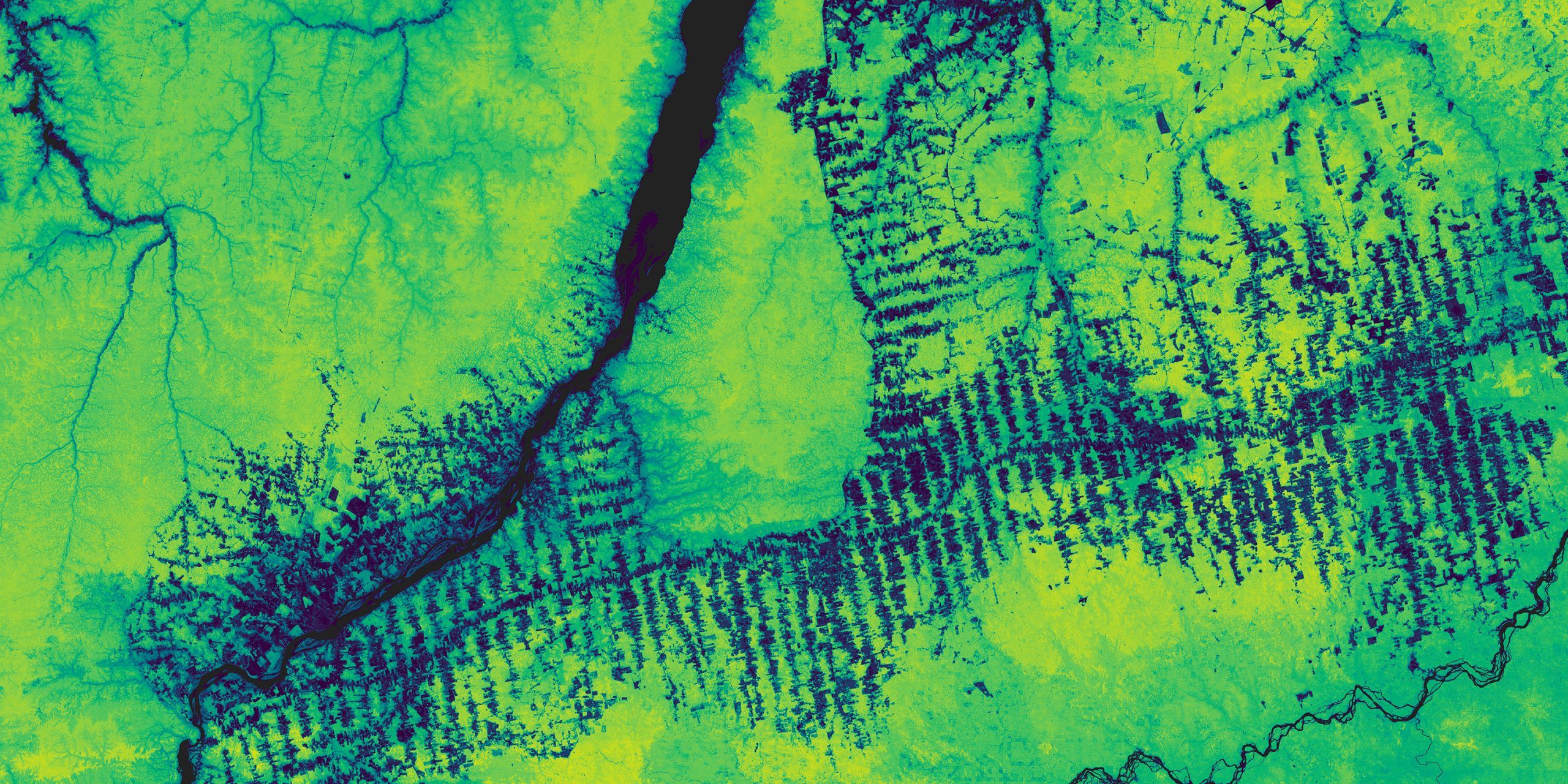 How Forest Carbon Data Helps Bridge Observation to Action