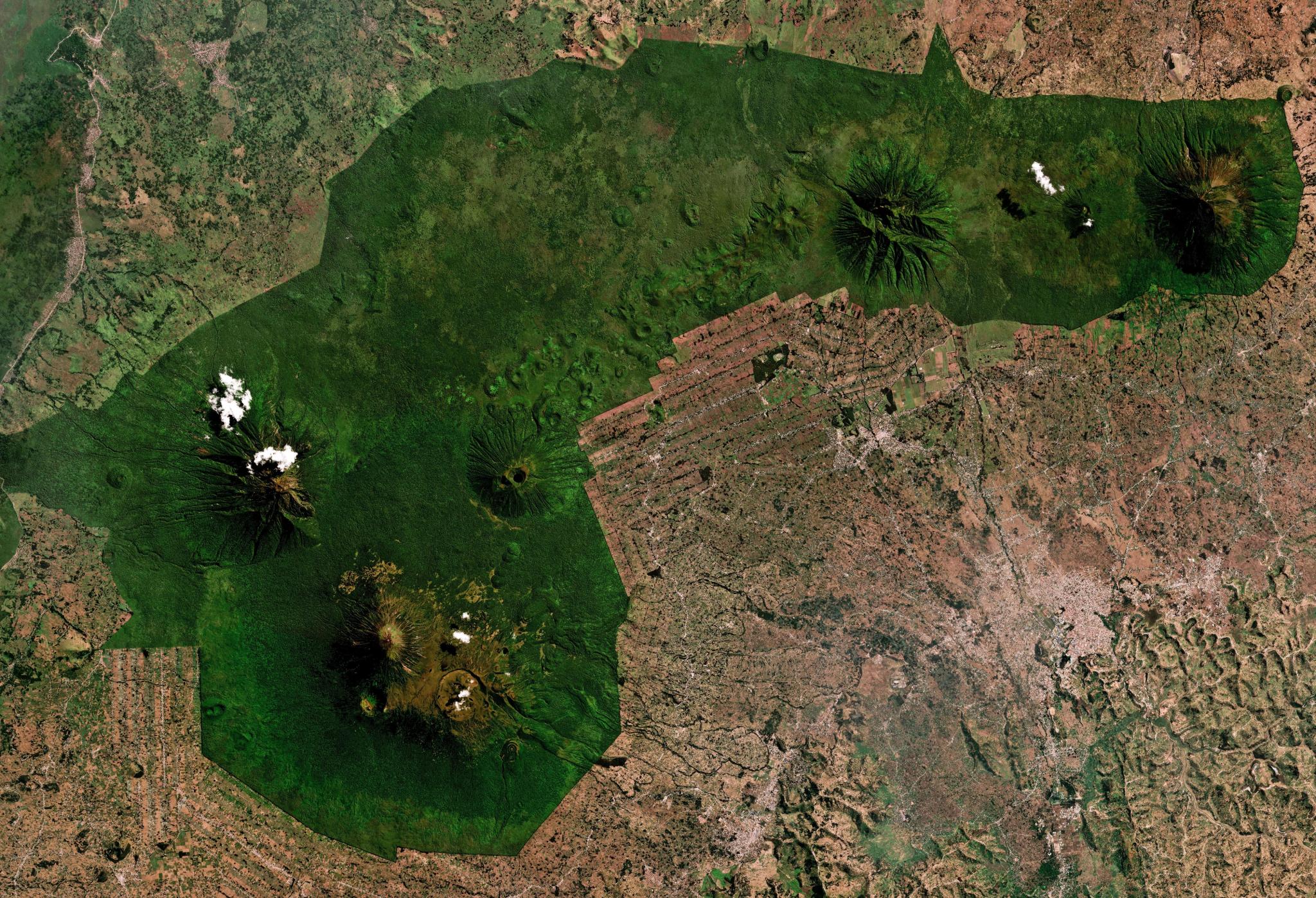 July 2024 Planet Mosaic of Volcanoes National Park, Rwanda.