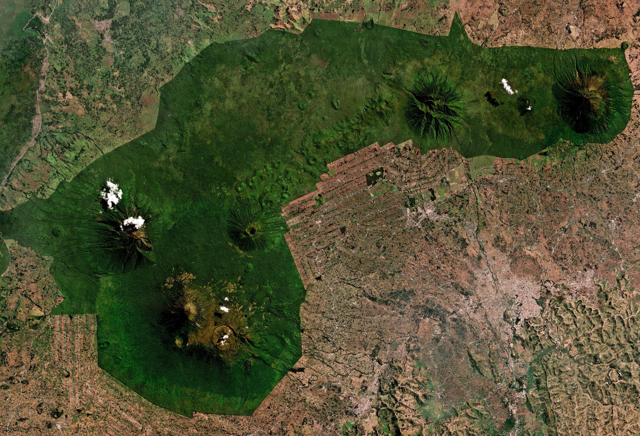 July 2024 Planet Mosaic of Volcanoes National Park, Rwanda.