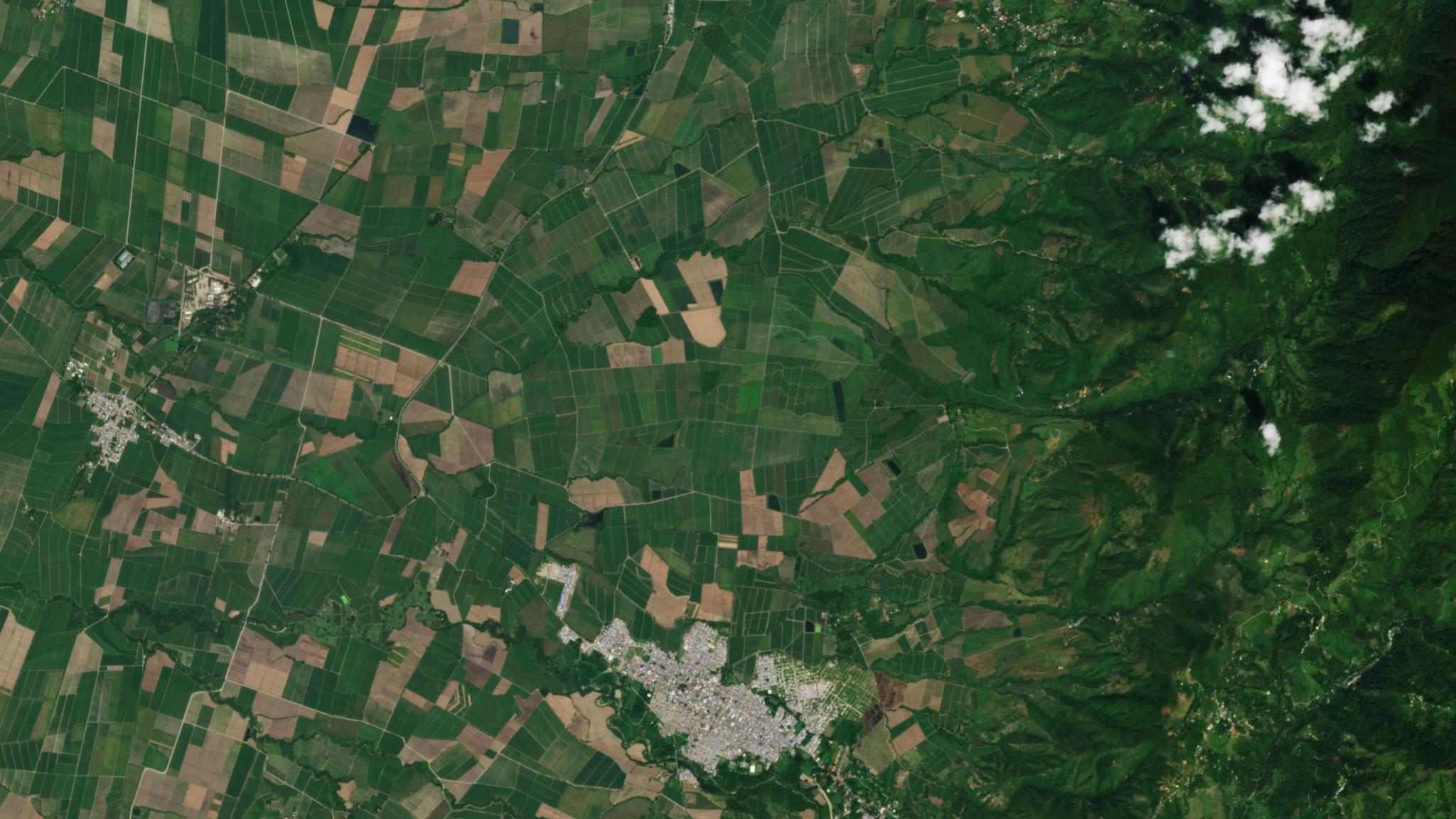 PlanetScope image of agriculture in the Valle del Cauca region of Colombia, captured December 9, 2025. © 2025 Planet Labs PBC. All Rights Reserved.