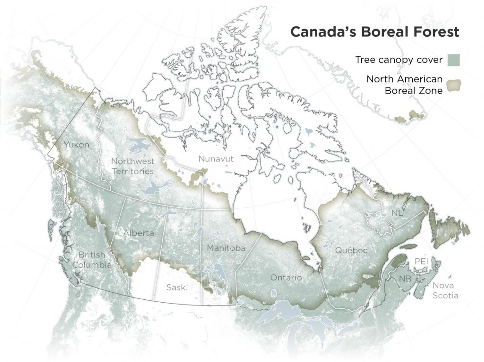 Map of Canada’s boreal forests. Data Sources: Natural Earth, University of Maryland, Natural Resources Canada. Map by Leanne Abraham.