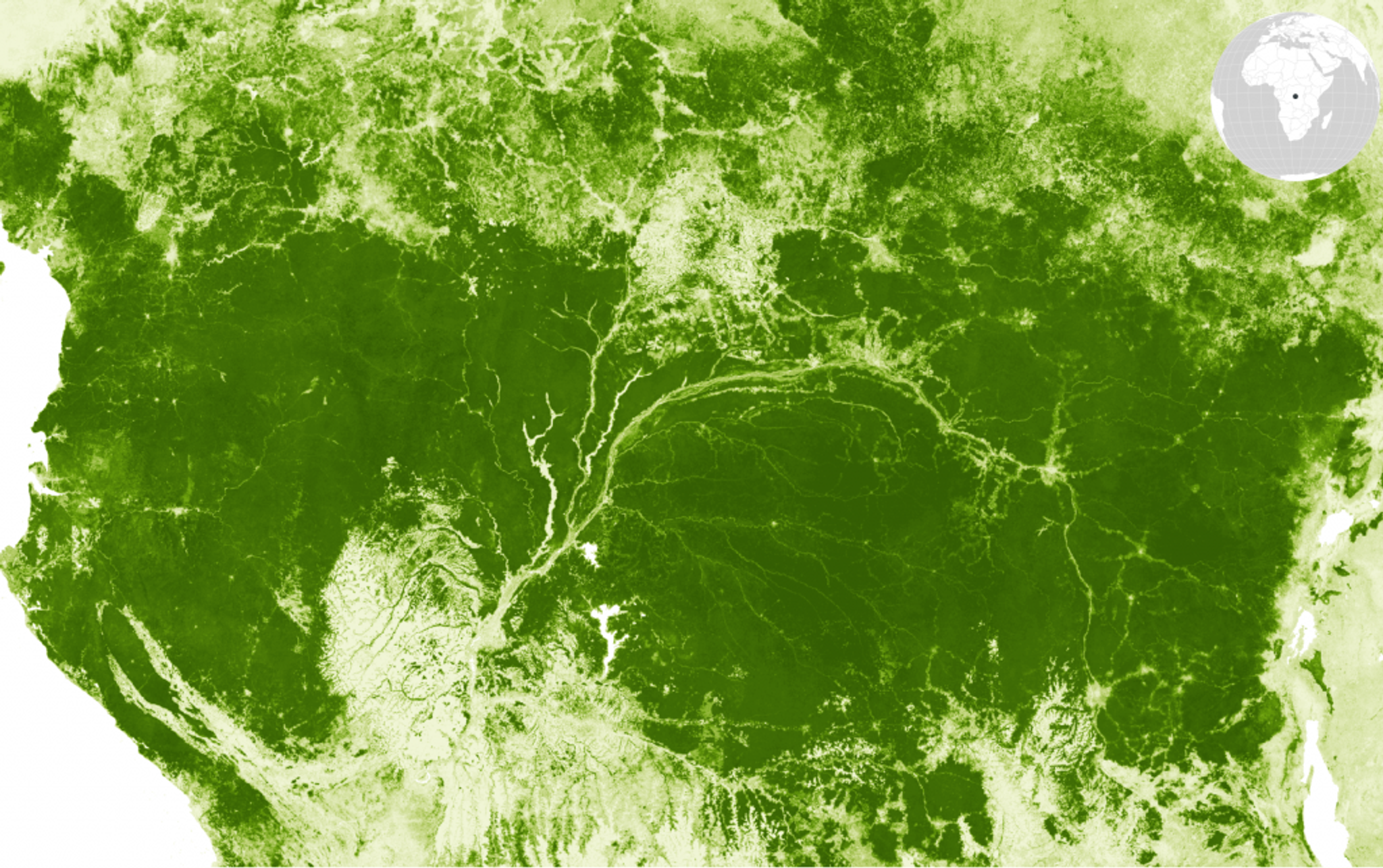 Canopy height patterns spanning the Paleotropical forests of the Congo Basin, one of the cloudiest regions in the world, and home to a stunning array of mammal biodiversity.