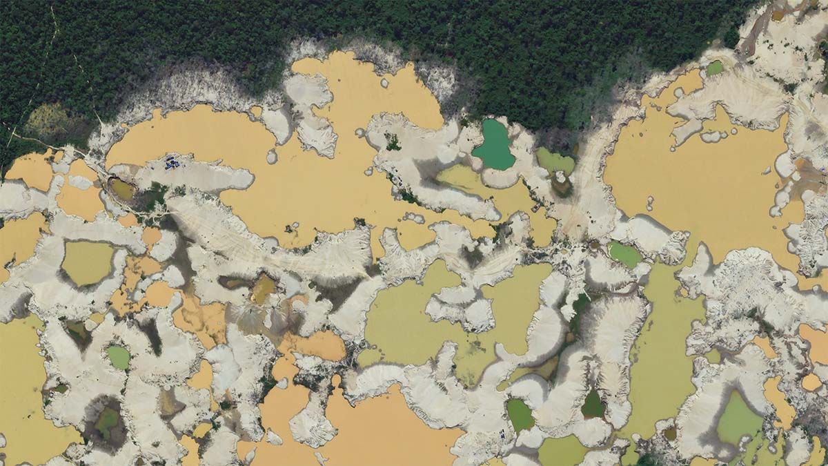 Monitoring Forest Carbon From Space