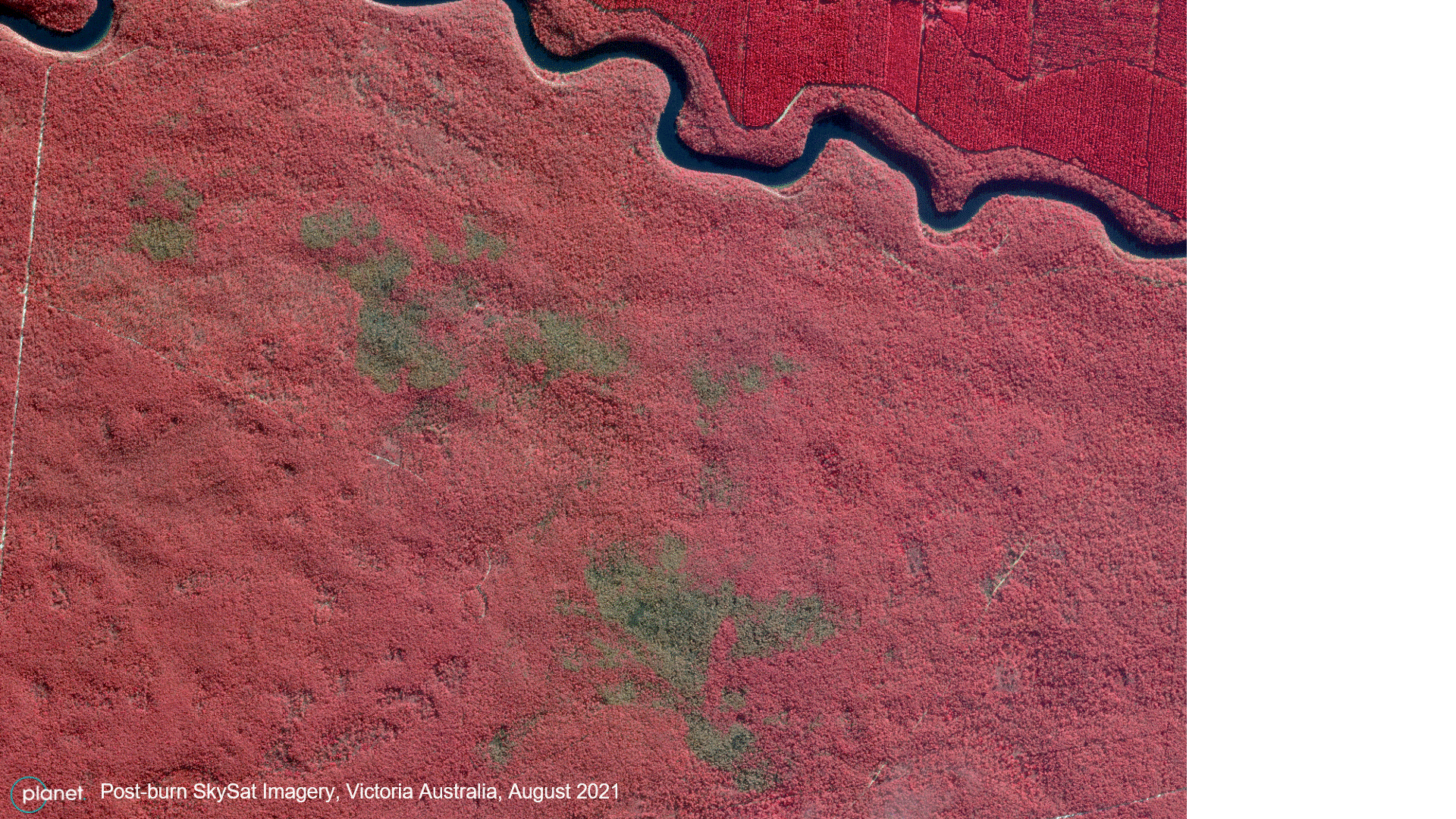 Post-burn SkySate imagery, Victoria Australia, August 2021