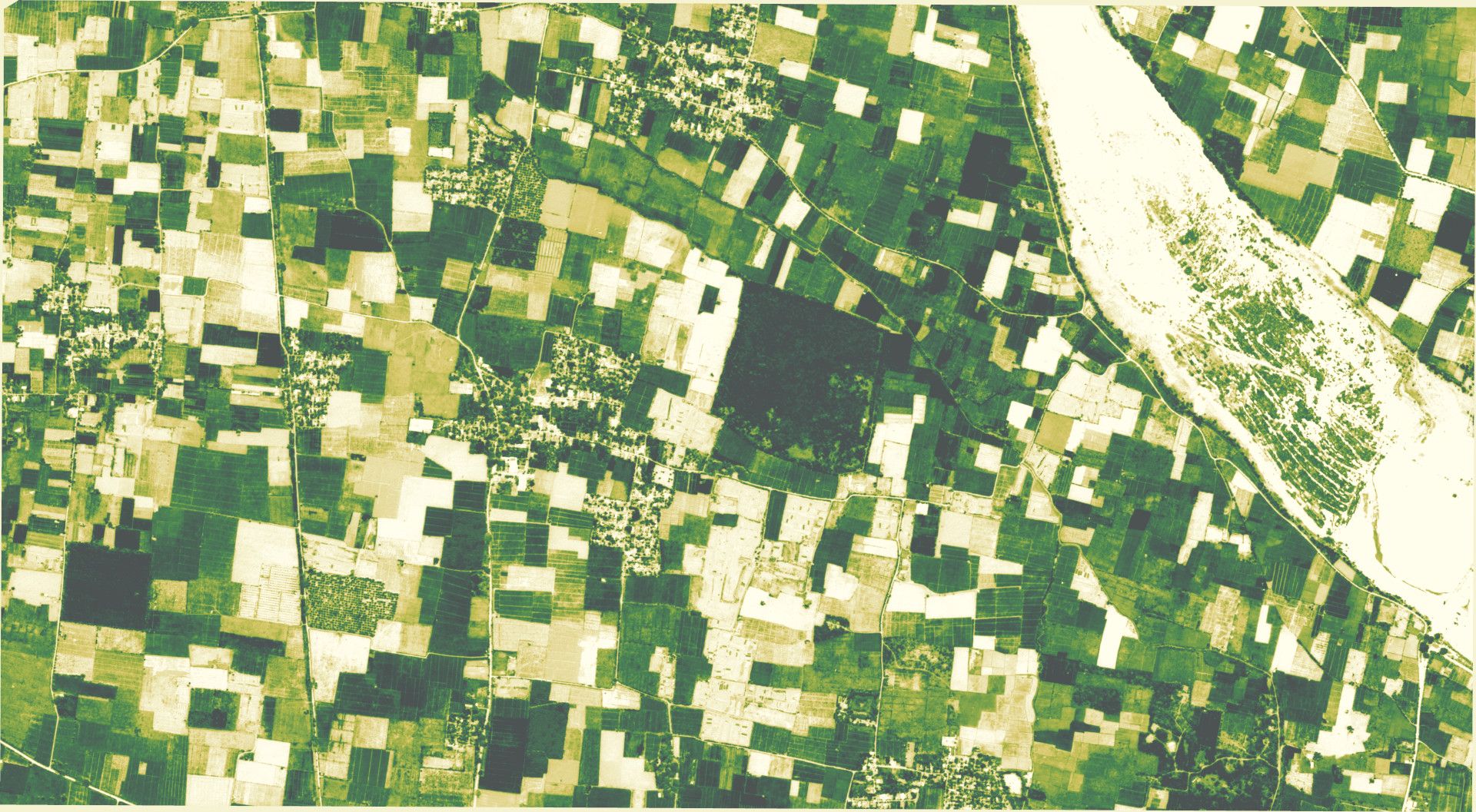 Use the platform to create spectral indices for agriculture fields to monitor crop health and field performance.