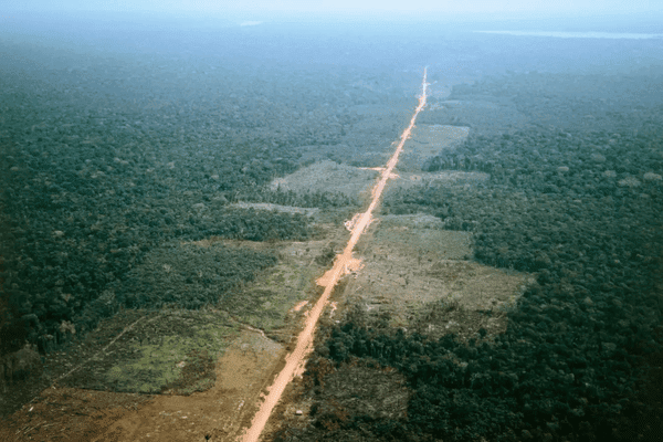 The Amazon is teetering on the edge of a climate tipping point