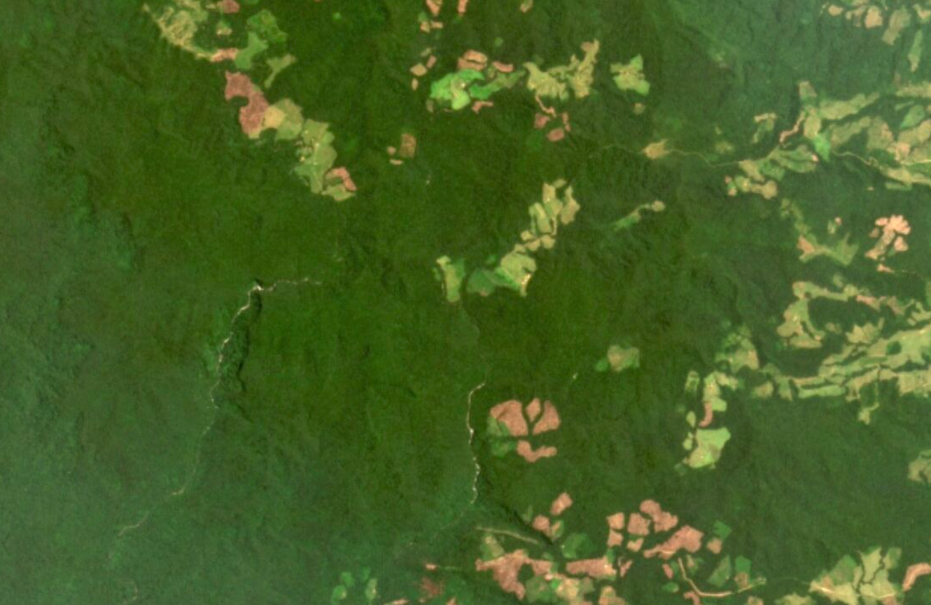 Narco activity takes heavy toll on Colombia’s protected forests, satellite data show