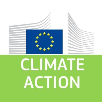 Policy Officer at the Directorate-General for Climate Action of the European Commission