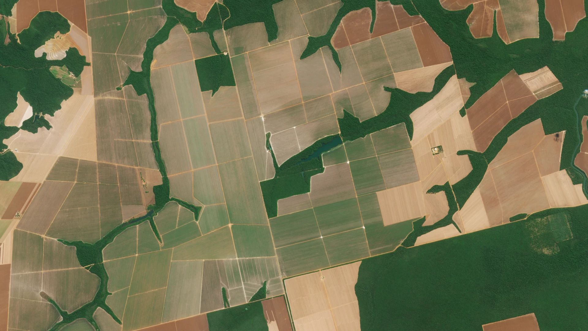 Unlock near-daily satellite imagery and analytics for agriculture use cases.