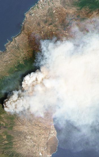 Thousands Evacuated as 'Out of Control' Wildfire Burns on Spain's Tenerife Island