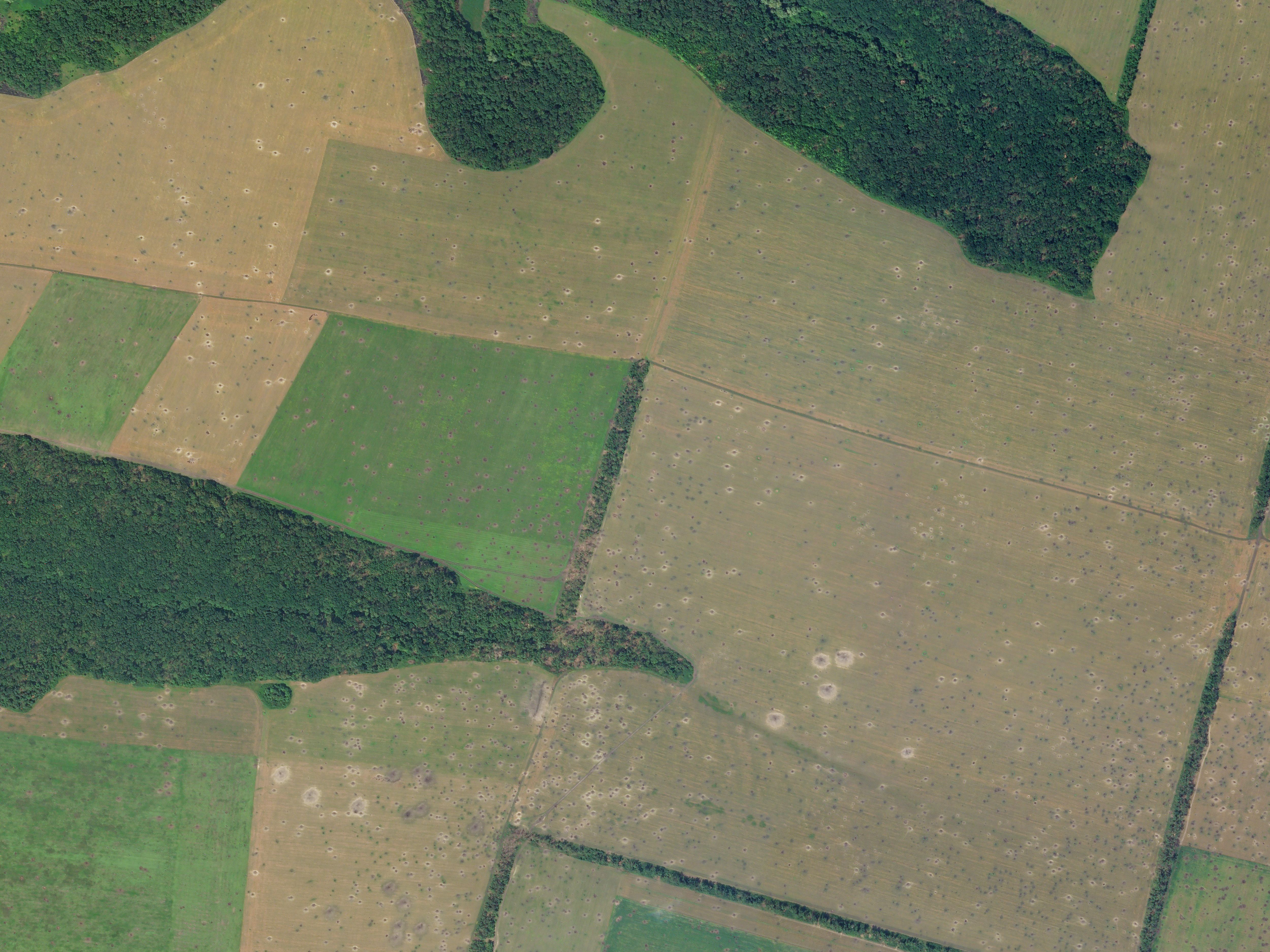SkySat imagery captured on June 28, 2022, depicting damage to fields located near Dibrivne, Kharkiv Oblast, Ukraine.