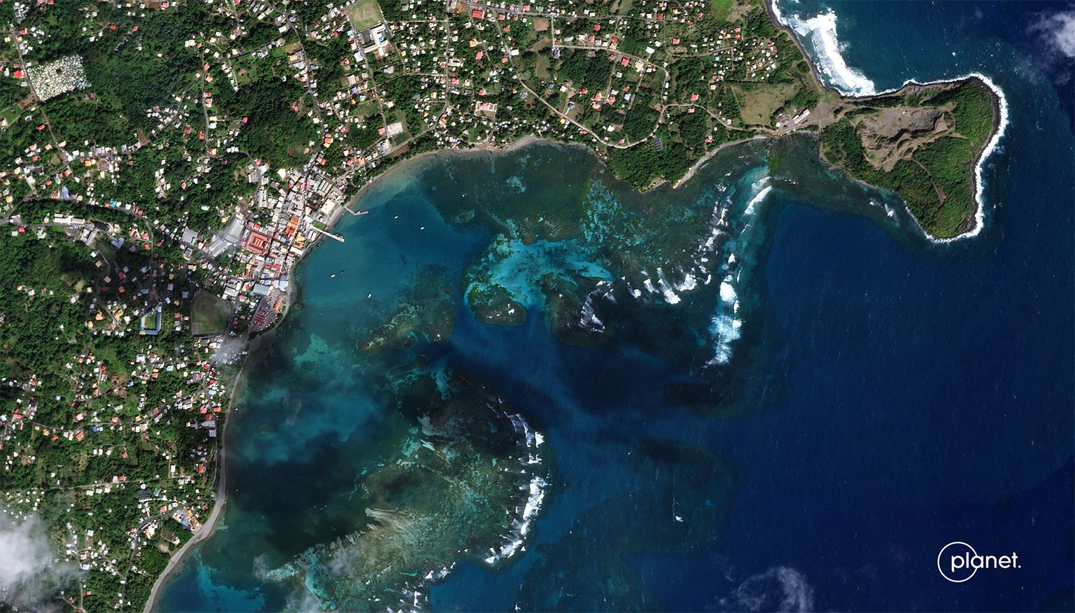 New digital tool maps blue carbon ecosystems in high resolution