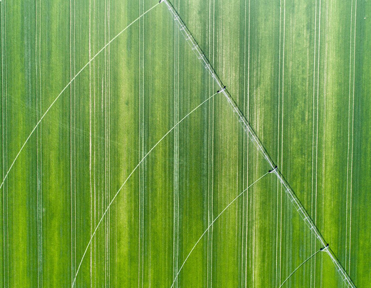 Precision Agriculture Imaging with Planet Satellite Solutions
