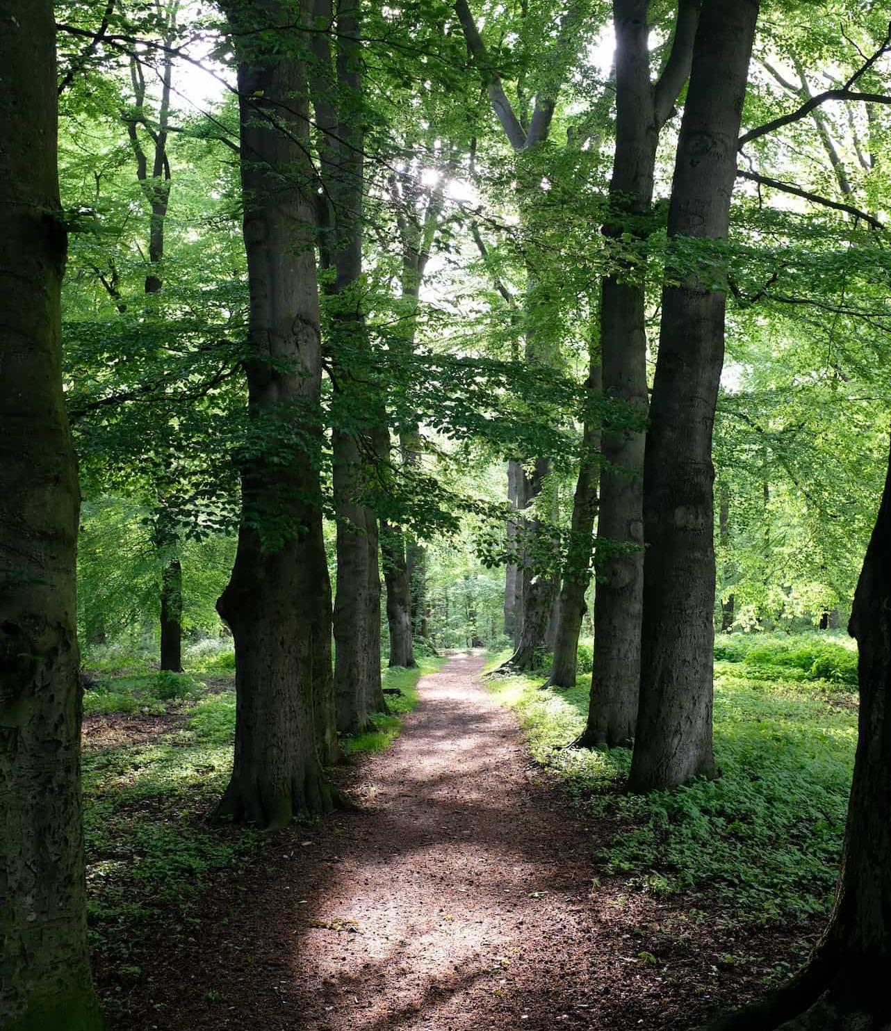 Wandern ab Camping Warnsborn