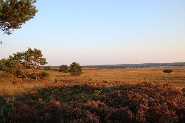 veluwe