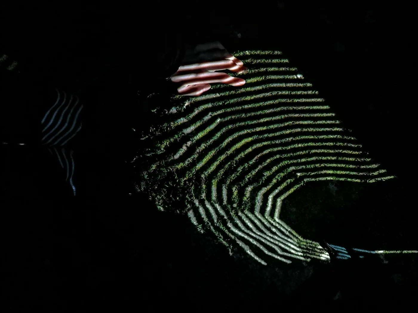 zona16-event-stille-exhibition-nicolò-andreatta-link-hg-pistoia-spider-web-2-jpg