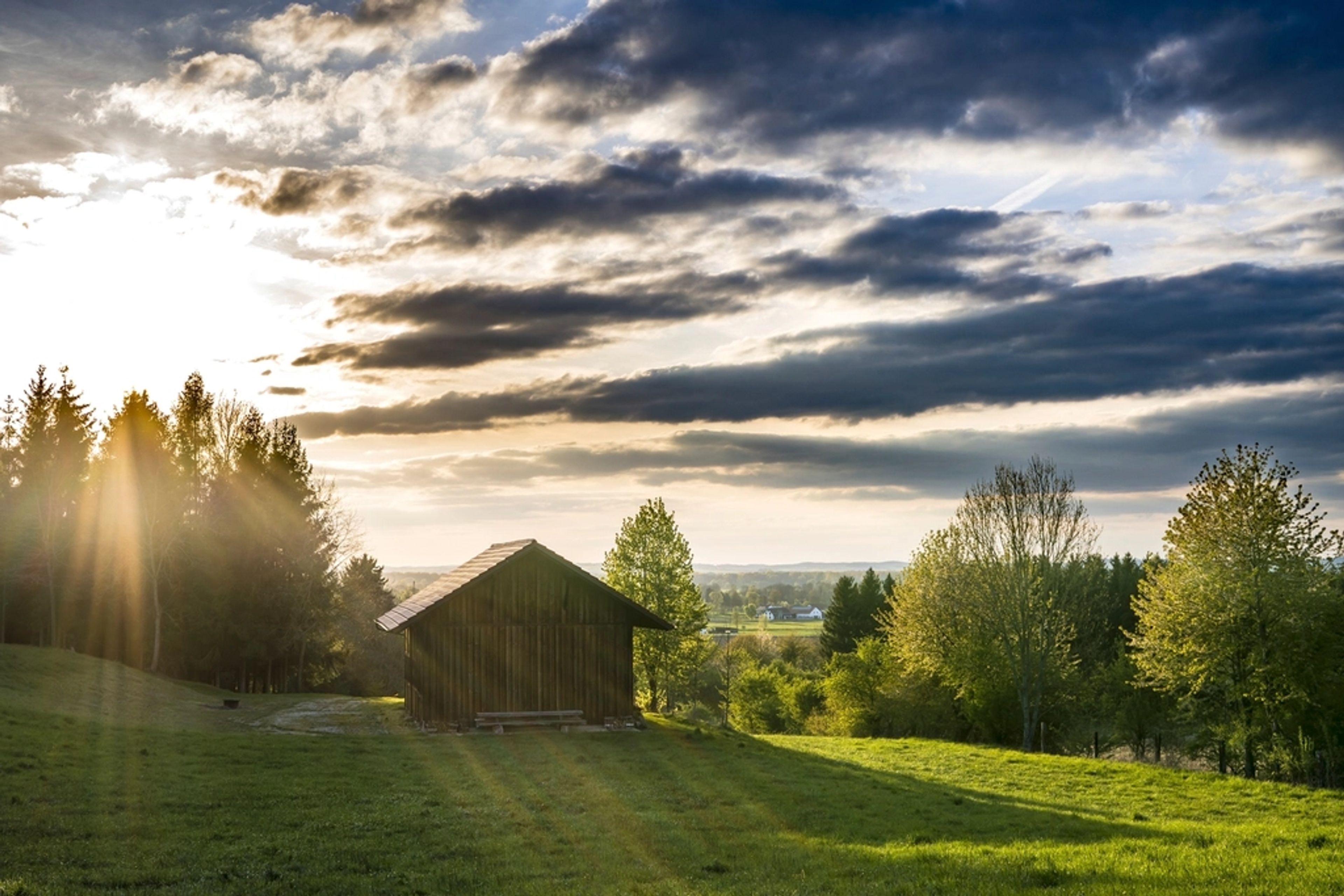 Small off-grid cabin on remote wooded land at golden hour