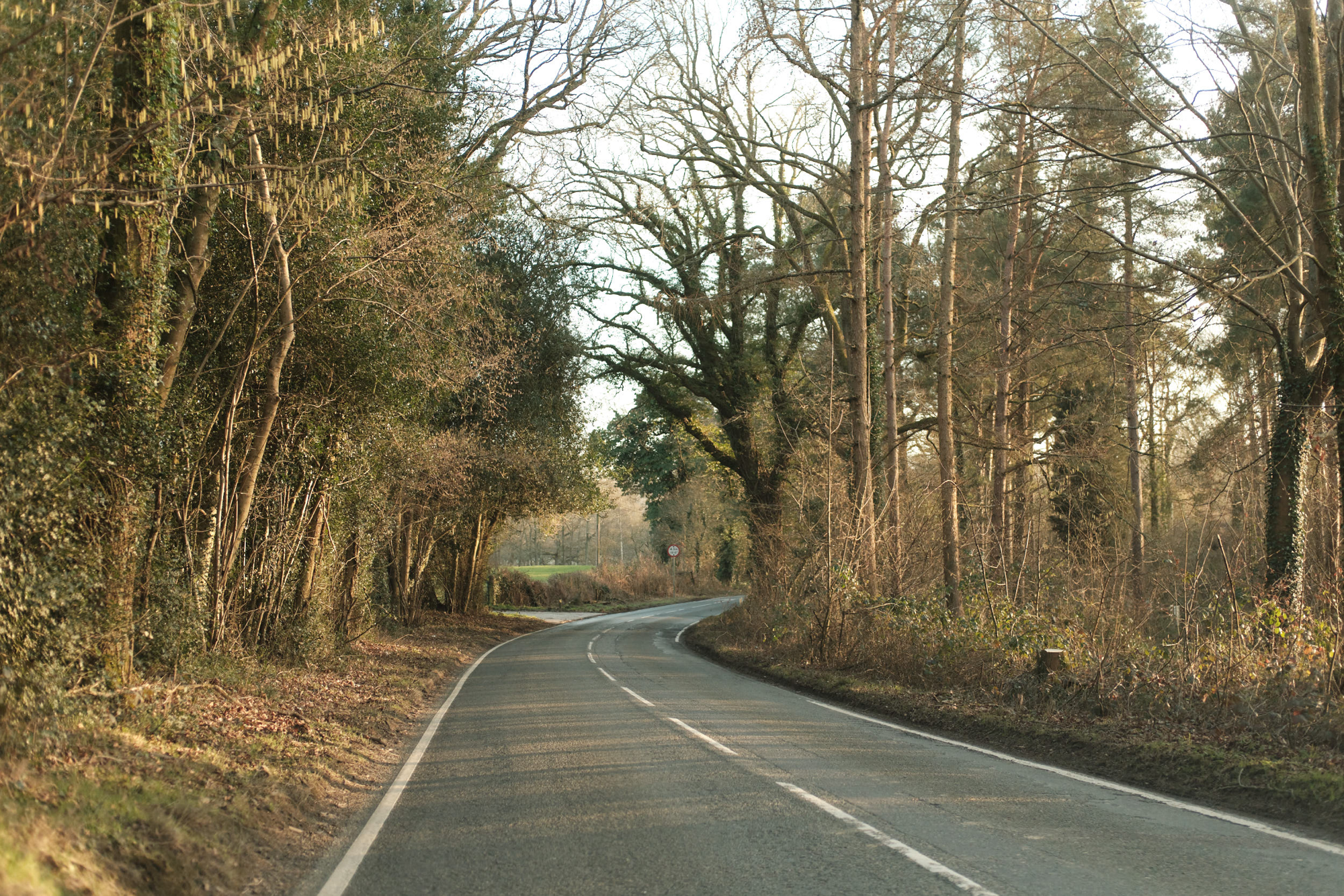 Empty British B-road bending through bare-tree woodland in late winter light, no cars.