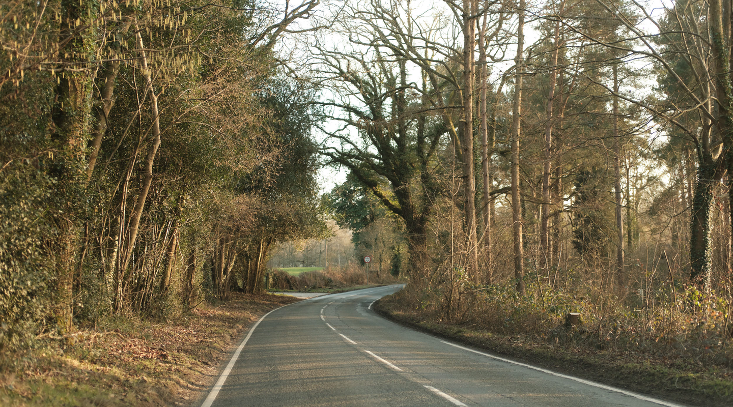 Empty British B-road bending through bare-tree woodland in late winter light, no cars.