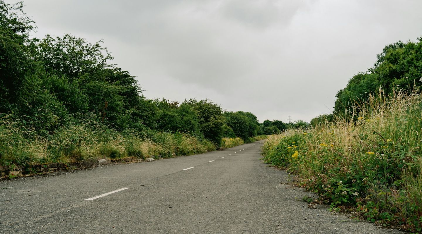 Empty rural road through dense overgrown verge and scrubland under an overcast grey sky - animal road signs uk