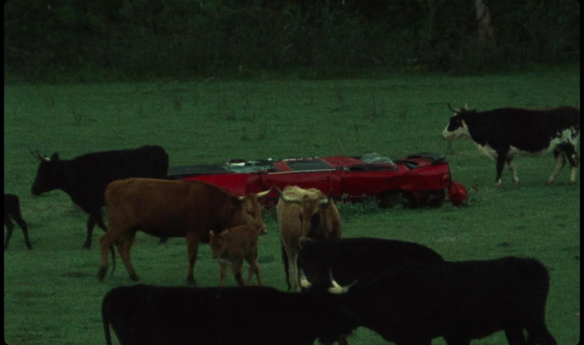 Modest Mouse Shares “We Are Between” Video