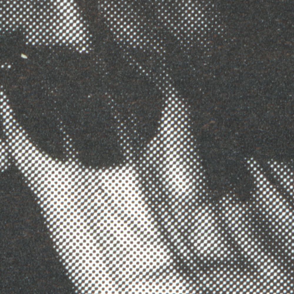 LCD Soundsystem Drops ‘X-Ray Eyes (Extended Trash Can Dub)’ Digital Release