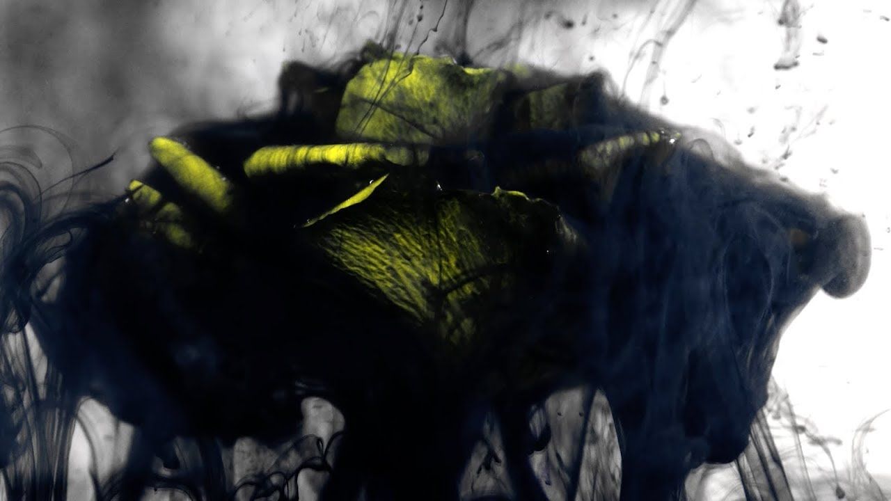 mmph Shares Atmospheric Ink And Flora-Laden Video For “Sun God”