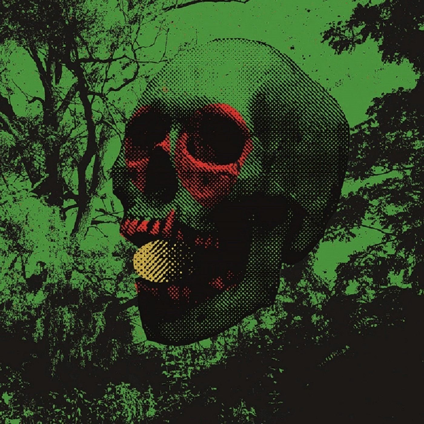 JOHN DWYER, NICK MURRAY, BRAD CAULKINS, TOM DOLAS & GREG COATES ANNOUNCE LP, SHARE “GREENER POOLS”