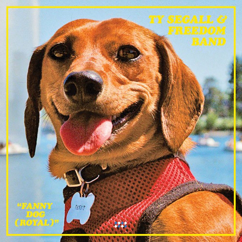 Ty Segall & Freedom Band Share “Fanny Dog (Royal)”