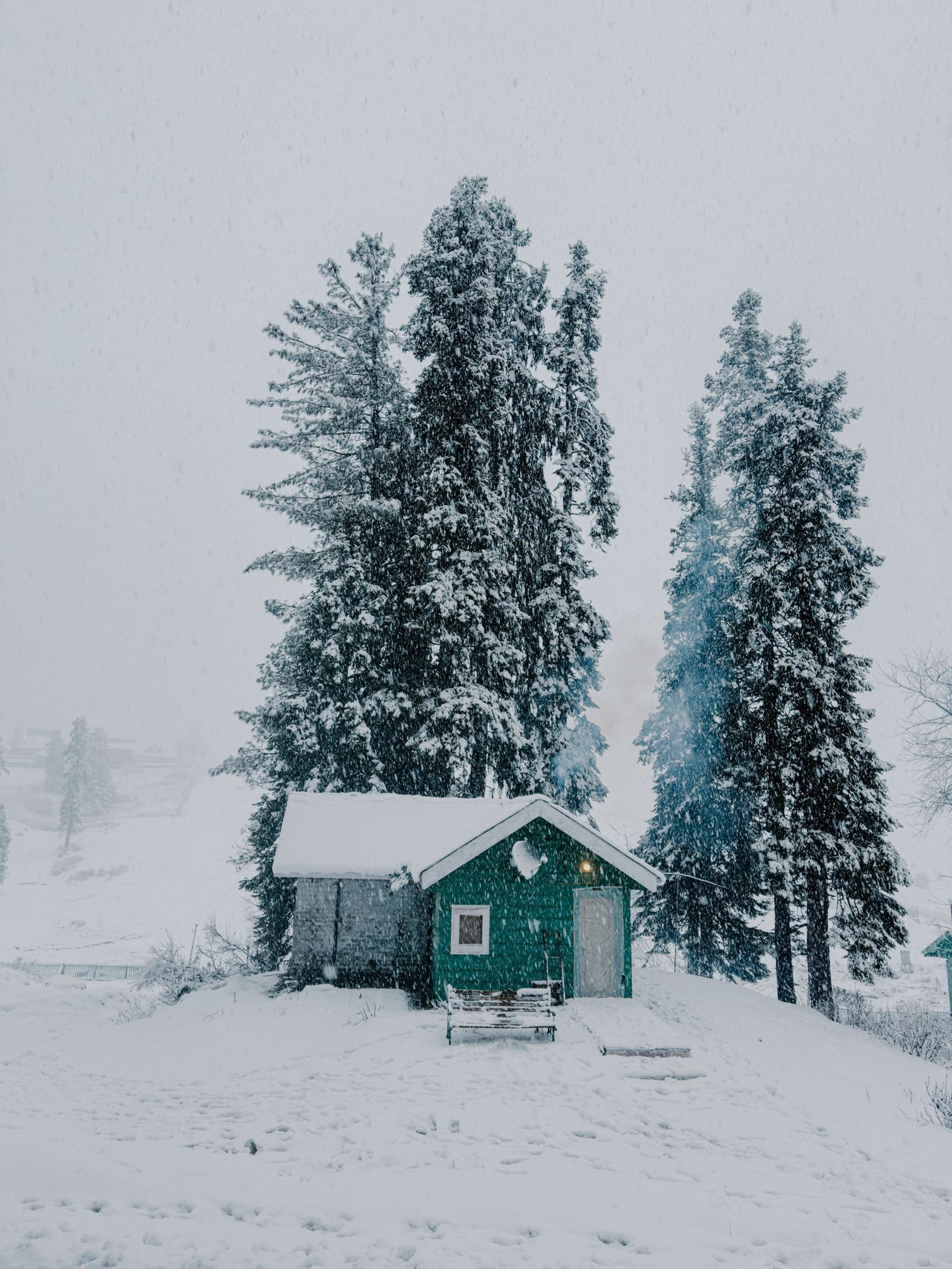 En hytte omgitt av snø og skog