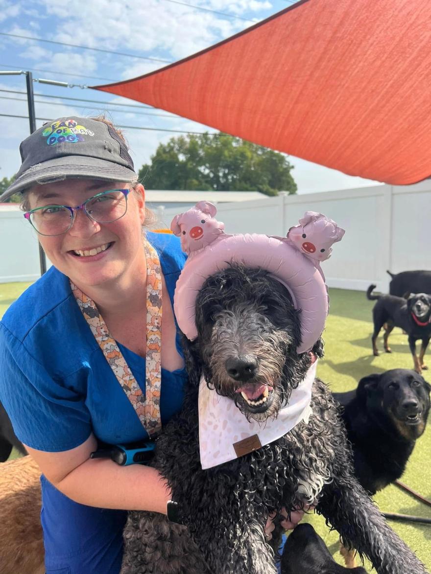 Boxers Bed & Biscuits carousel 52