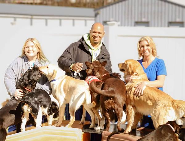 Boxers Meds & Fixits