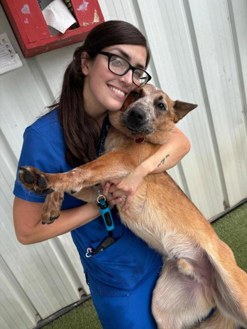 Boxers Bed & Biscuits gallery 5