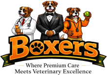 Boxers Bed & Biscuits