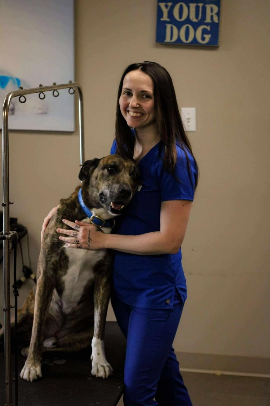 Boxers Bed & Biscuits carousel 3