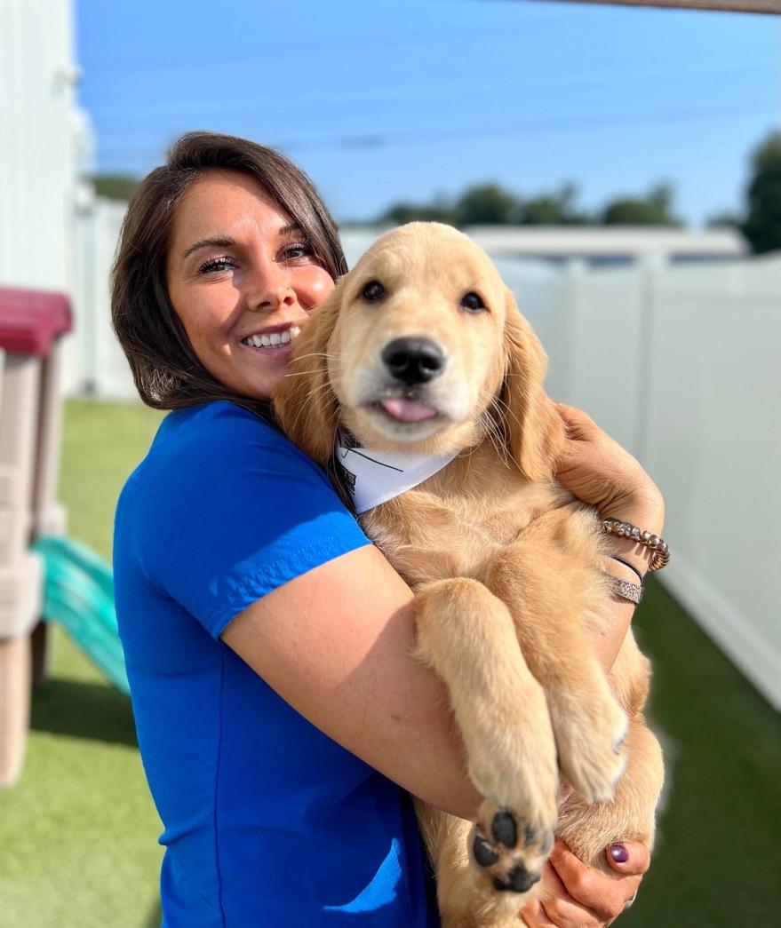 Boxers Bed & Biscuits carousel 6