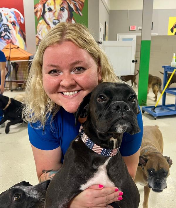 Structured play and enrichment at Boxers daycare