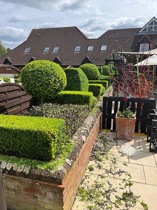 Hotel privet maintenance