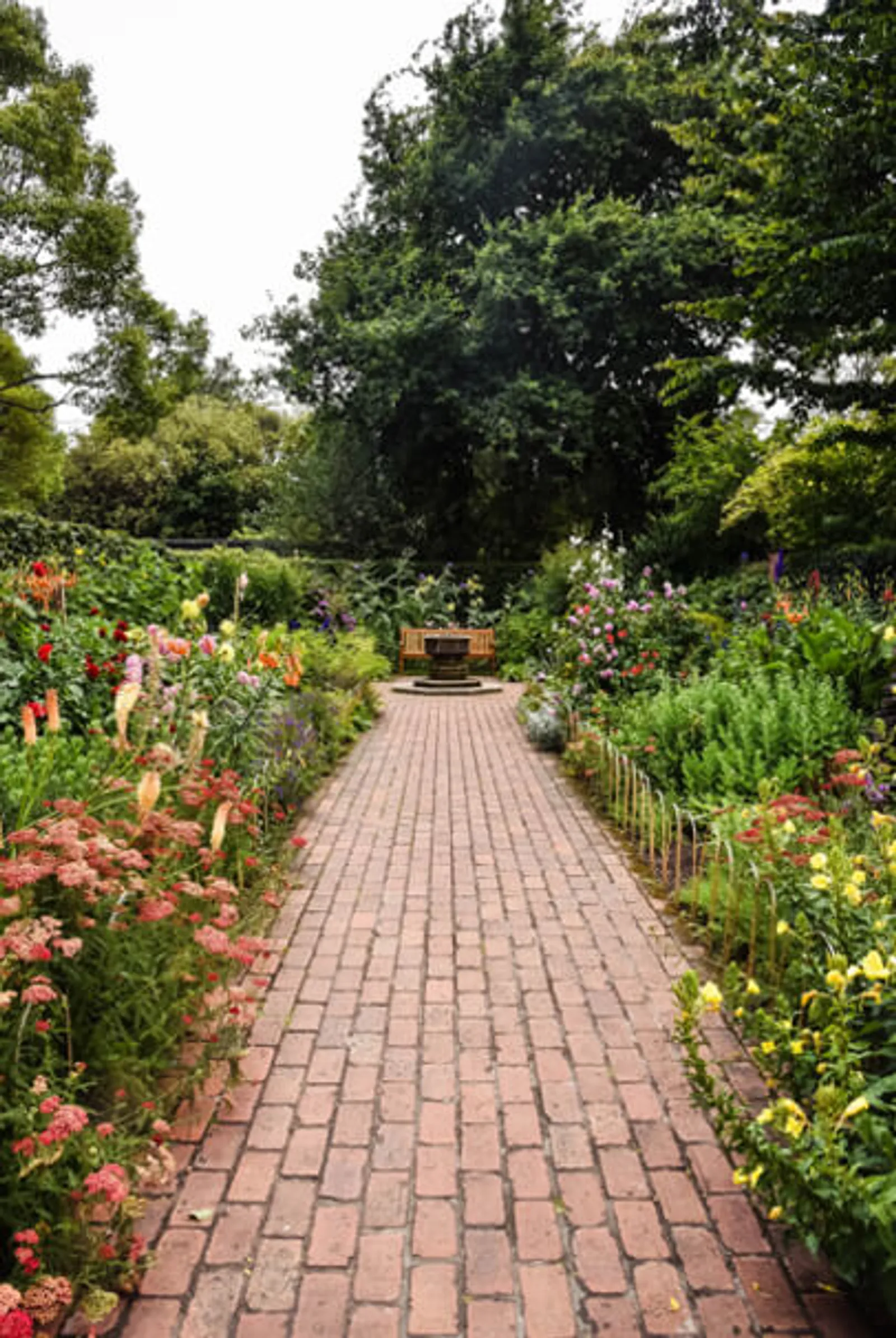 Path and beds at hotel