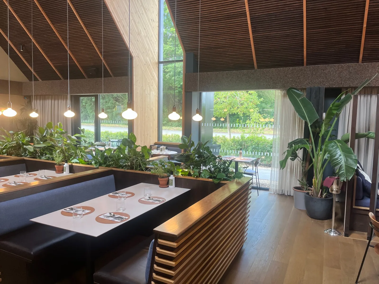 Interior planting in restaurant